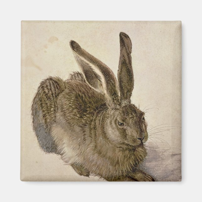 Hare, 1502 magnet (Front)