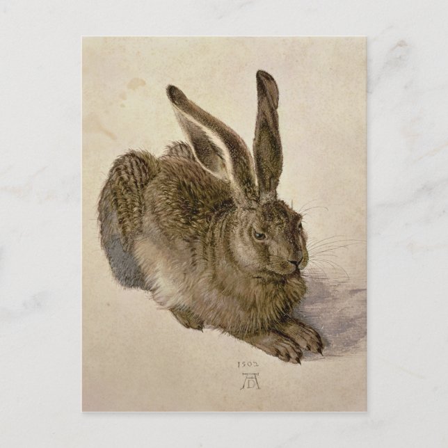 Hare, 1502 postcard (Front)