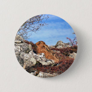 HARE 6 CM ROUND BADGE