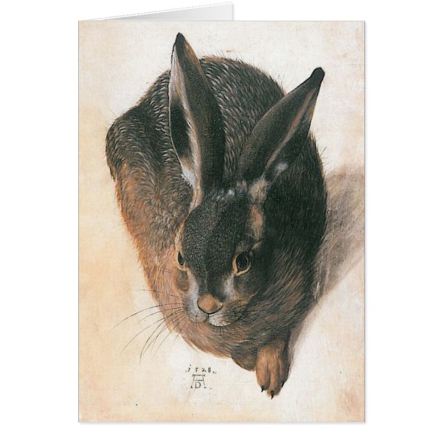 Hare by Albrecht Durer (Front)