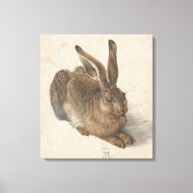 Hare (by Albrecht Dürer) Canvas Print (Front)