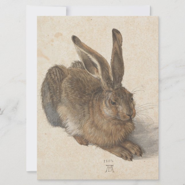 Hare (by Albrecht Dürer) Card (Front)