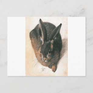 Hare by Albrecht Durer Postcard