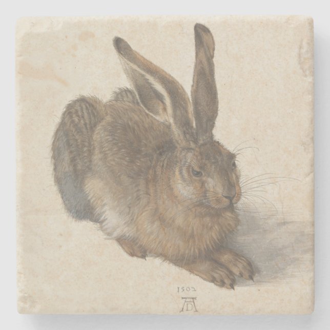 Hare (by Albrecht Dürer) Stone Coaster (Front)