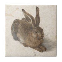 Hare by Albrecht Durer
