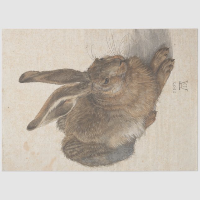 Hare (by Albrecht Dürer) Tissue Paper (Front)