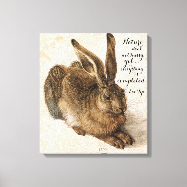 Hare by Durer with Nature Quote 17 x 19 Inch Canvas Print (Front)