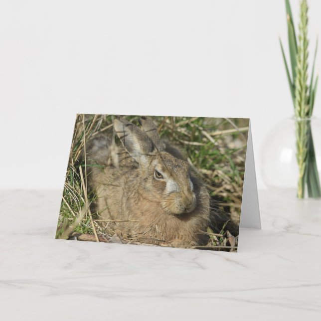 Hare Card (Front)