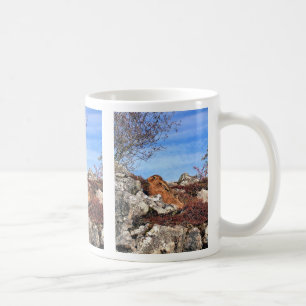 HARE COFFEE MUG
