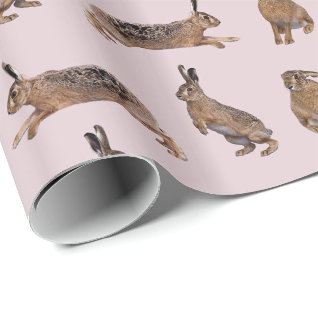 Hare Frenzy Wrapping Paper (Pink) (Roll Corner)