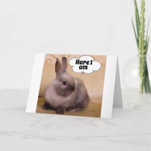 ***HARE*** I AM SAYS THIS ADORABLE BUNNY CHRISTMAS HOLIDAY CARD