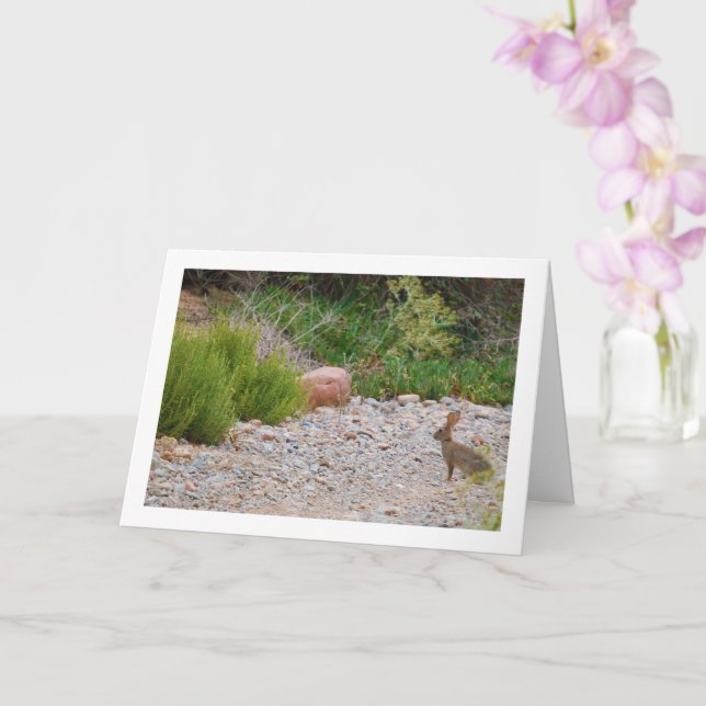 Hare in Canyon Card (Orchid)