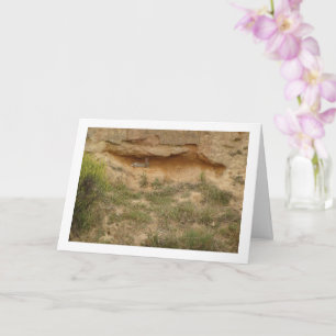 Hare in Canyon Cave Card