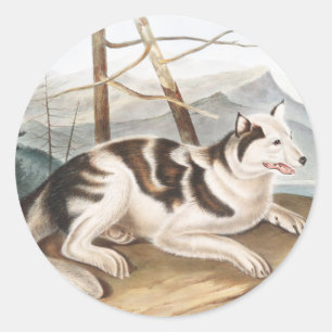 Hare Indian Dog (Canis familiaris) Illustration Classic Round Sticker