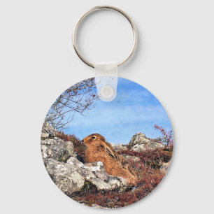 HARE KEY RING