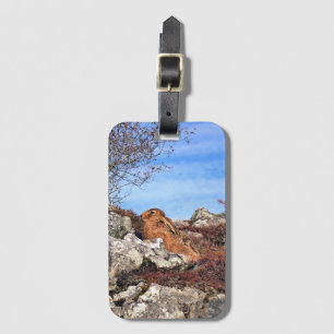 HARE LUGGAGE TAG