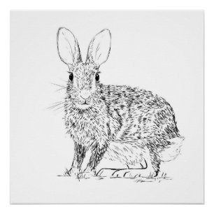 Hare Monochrome Print