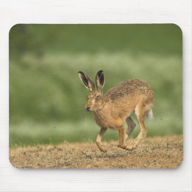 Hare Mousepad (Front)
