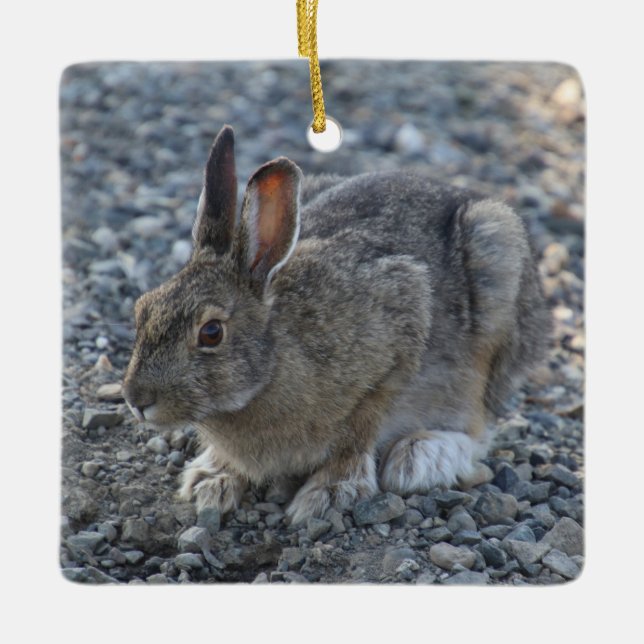 Hare Ornament (Front)