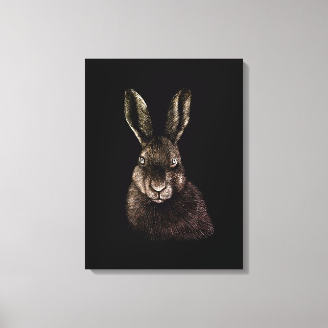 Hare, rabbit, drawing canvas print (Front)