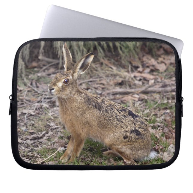 Hare Today, Gone Tomorrow Laptop Sleeve (Front)