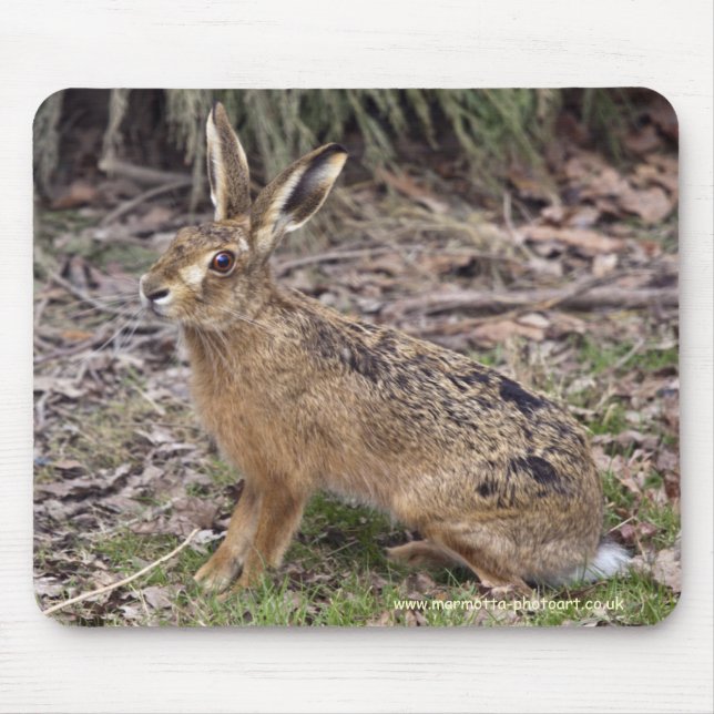 Hare Today, Gone Tomorrow Mousemat (Front)