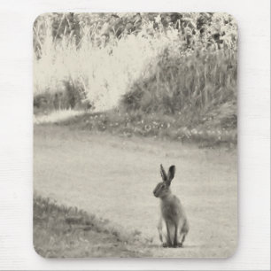 Hare today mouse mat