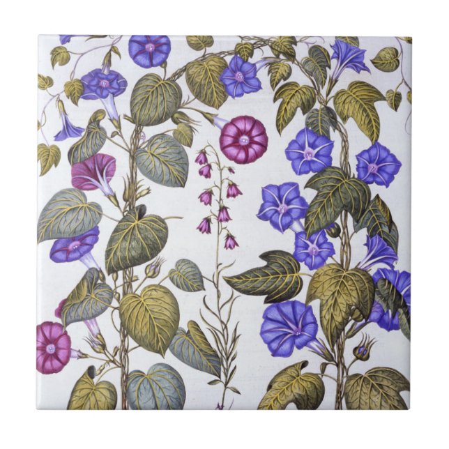 Harebell and Convovulus Tile (Front)
