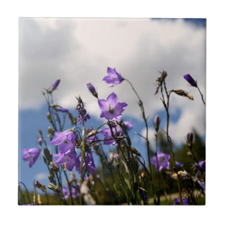 Harebells in the Sandias tile