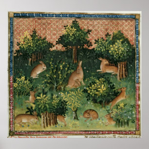 Hares in a Wood Poster