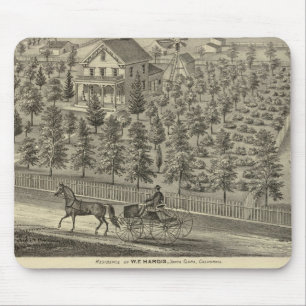 Hargis, Cheney residences Mouse Mat
