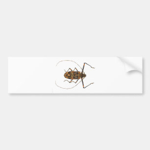 Harlequin Beetle Acrocinus Longimanus Bumper Sticker
