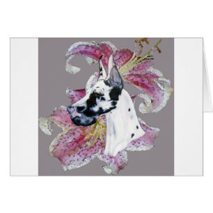 HARLEQUIN DANE DESIGN