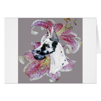 HARLEQUIN DANE DESIGN