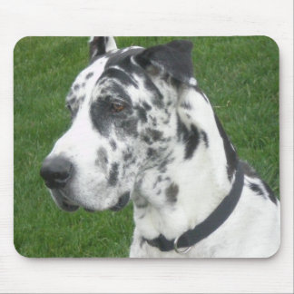 Harlequin Dane Mouse Mat