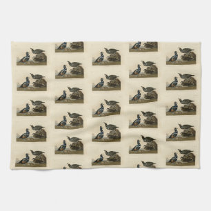 Harlequin Duck - from Audubon's Birds of America Tea Towel