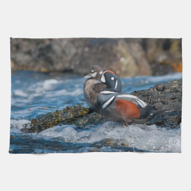 Harlequin Duck in ocean surf Tea Towel (Horizontal)