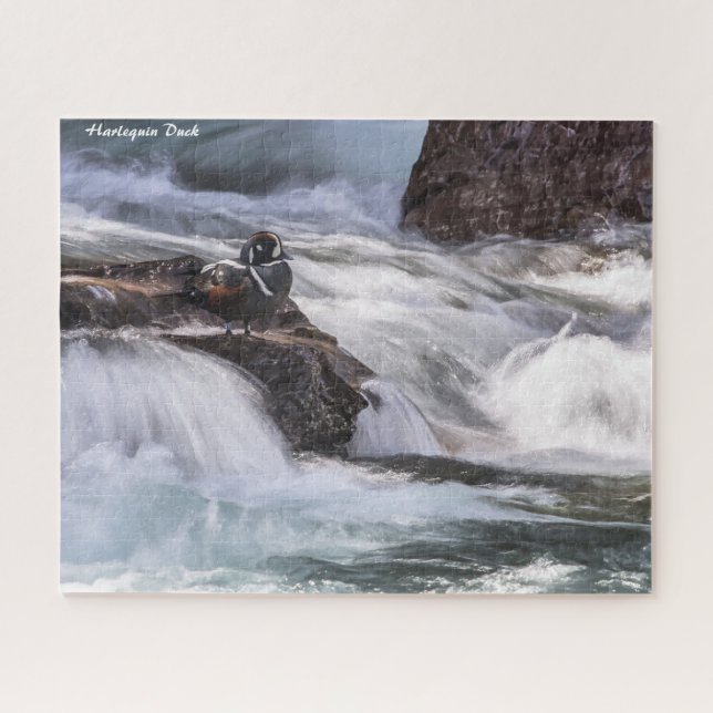 Harlequin Duck Jigsaw Puzzle (Horizontal)
