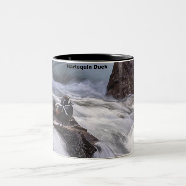 Harlequin Duck Two-Tone Coffee Mug (Center)
