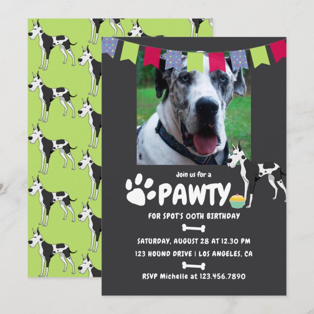 Harlequin Great Dane Birthday photo invitation (Front/Back)
