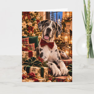 Harlequin Great Dane Christmas Card