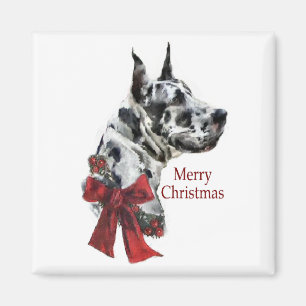 Harlequin Great Dane Christmas Gifts Magnet