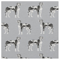 Harlequin Great Dane dog grey