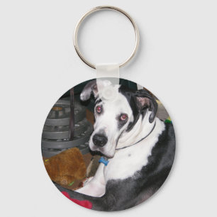 Harlequin Great Dane Key Ring