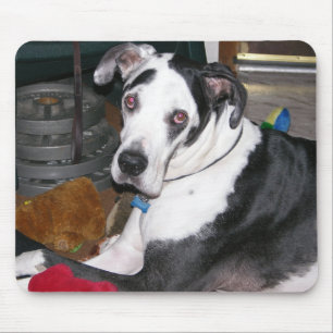 Harlequin Great Dane Mouse Mat
