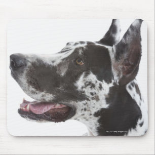 Harlequin Great Dane Mouse Mat