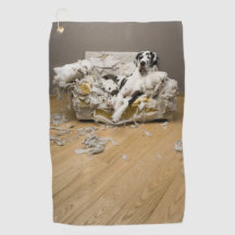 Harlequin Great Dane On Chewed Sofa Golf Towel