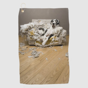 Harlequin Great Dane On Chewed Sofa Golf Towel