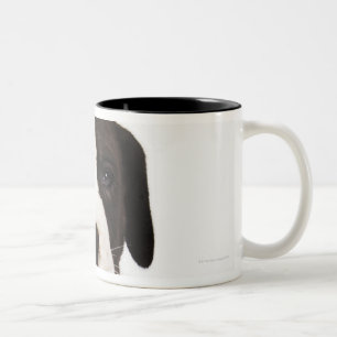 Harlequin Great Dane puppy on white background Two-Tone Coffee Mug