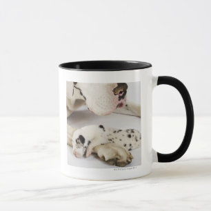 Harlequin Great Dane puppy sleeping on mother Mug